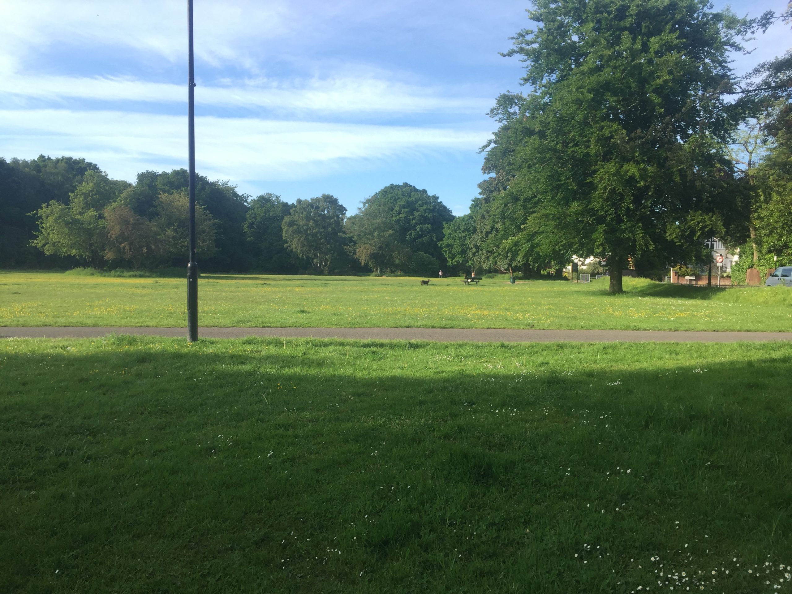 Education in the Green Space - Thumbnail