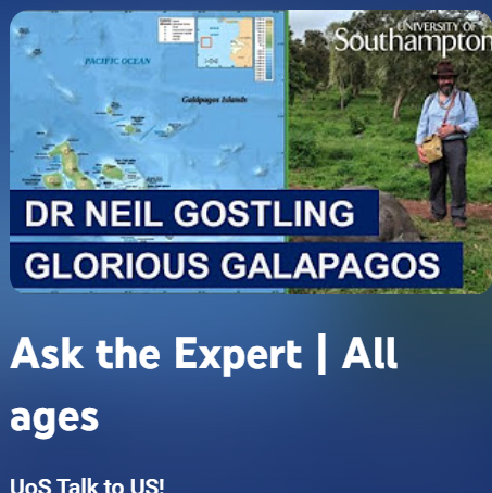 Ask the Expert YouTube Channel - Thumbnail